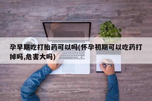 流产药微信购买联系方式孕早期吃打胎药可以吗(怀孕初期可以吃药打掉吗,危害大吗)