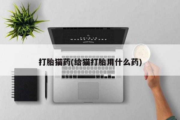 流产药微信购买联系方式打胎猫药(给猫打胎用什么药)