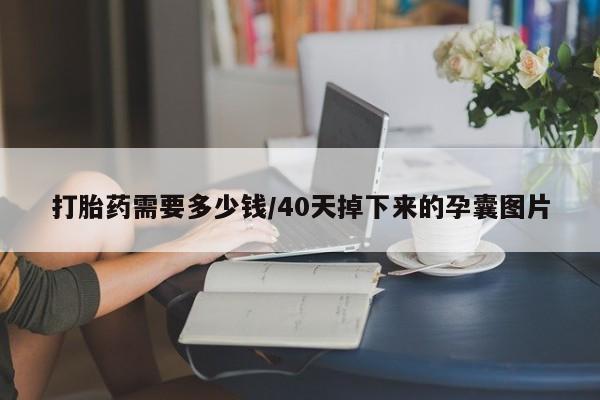 流产药微信购买联系方式打胎药需要多少钱/40天掉下来的孕囊图片